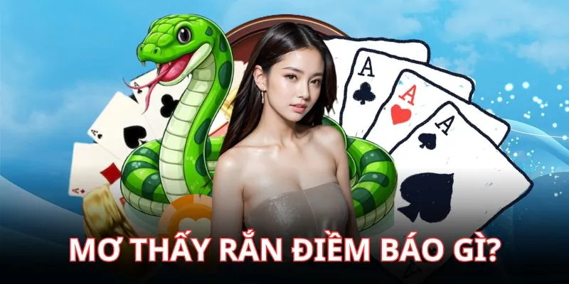 Mơ thấy rắn đánh con gì và điềm báo chúng mang theo?