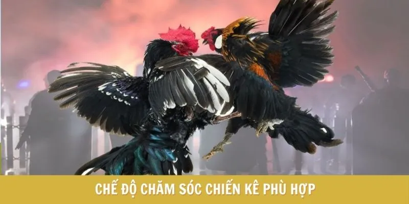 Chế độ dinh dưỡng phù hợp