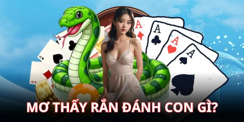 Mơ Thấy Rắn Đánh Con Gì